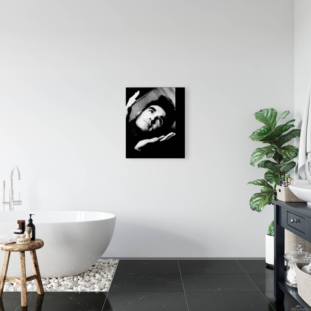 Morrissey 8 Reproduction
