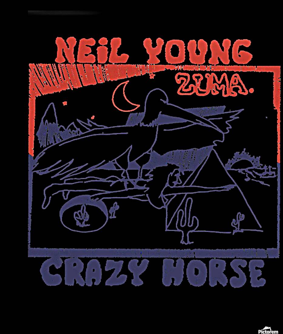 Neil Young 5 Reproduction