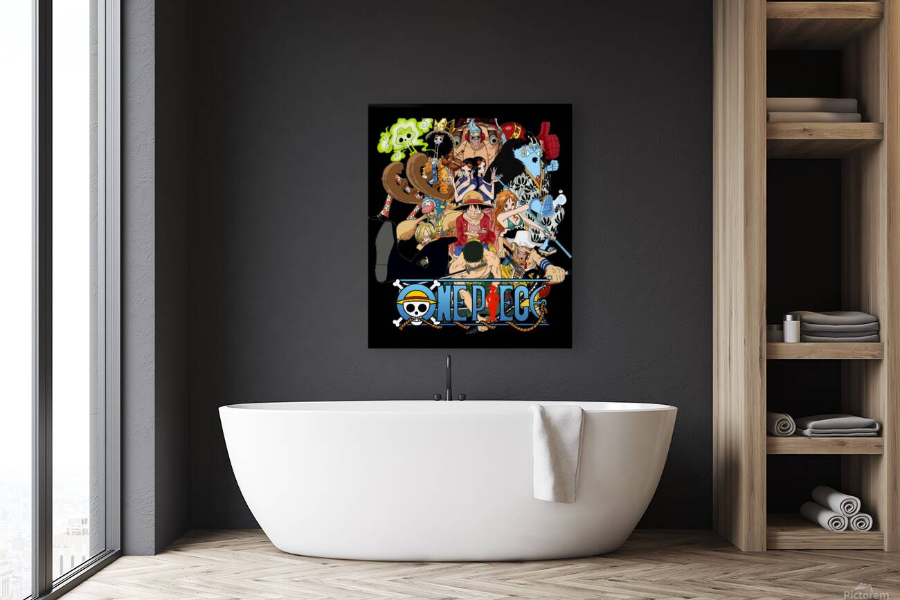 One Piece 29 Reproduction