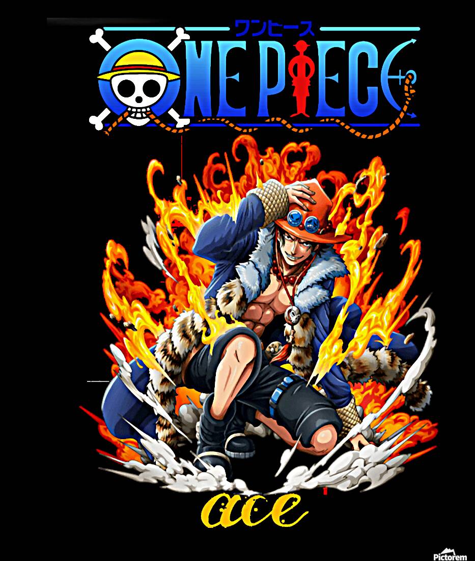 One Piece 41 Reproduction