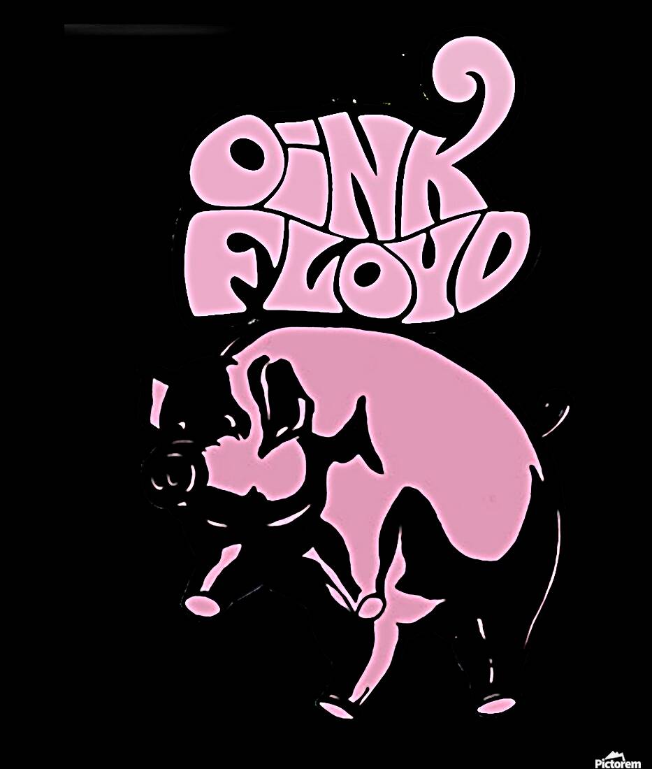 Pink Floyd 49 Reproduction