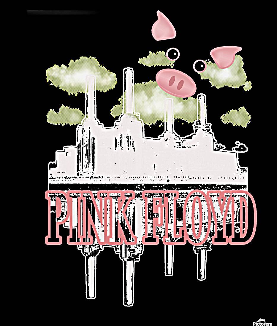 Pink Floyd 29 Reproduction