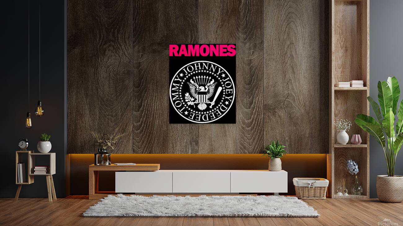 Ramones 41 Reproduction