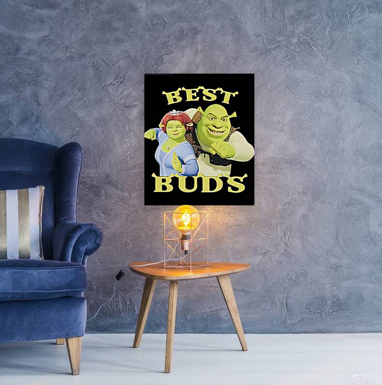 Shrek 30 Reproduction