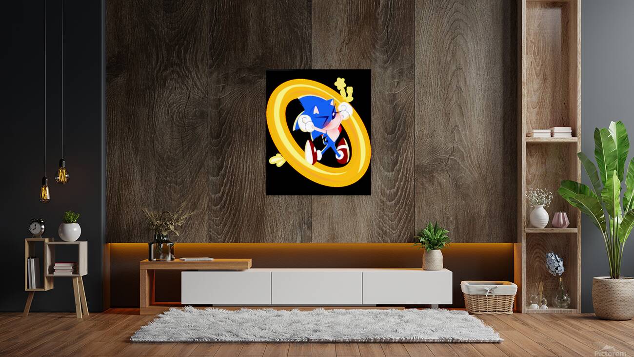 Sonic 11 Reproduction