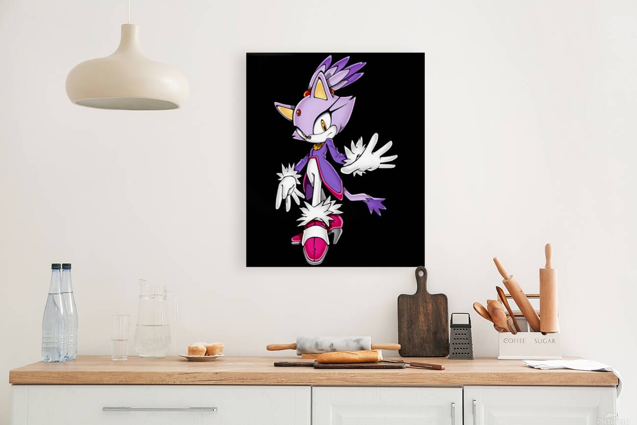 Sonic 13 Reproduction