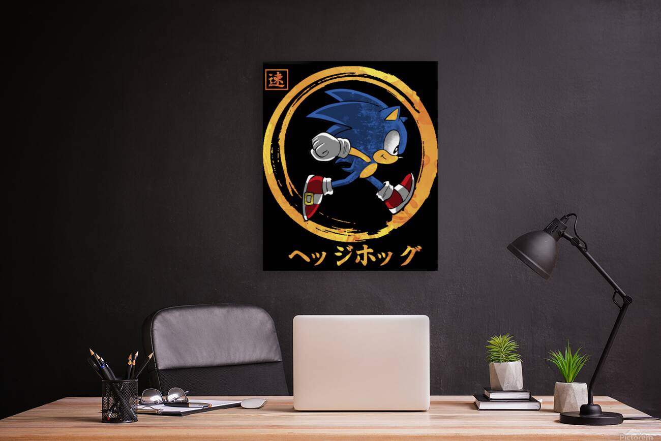Sonic 17 Reproduction