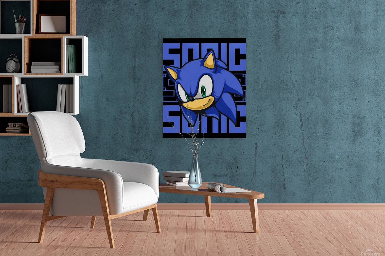 Sonic 23 Reproduction