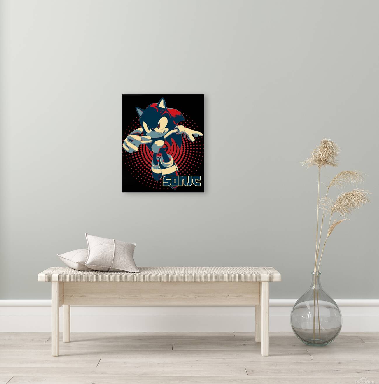 Sonic 30 Reproduction