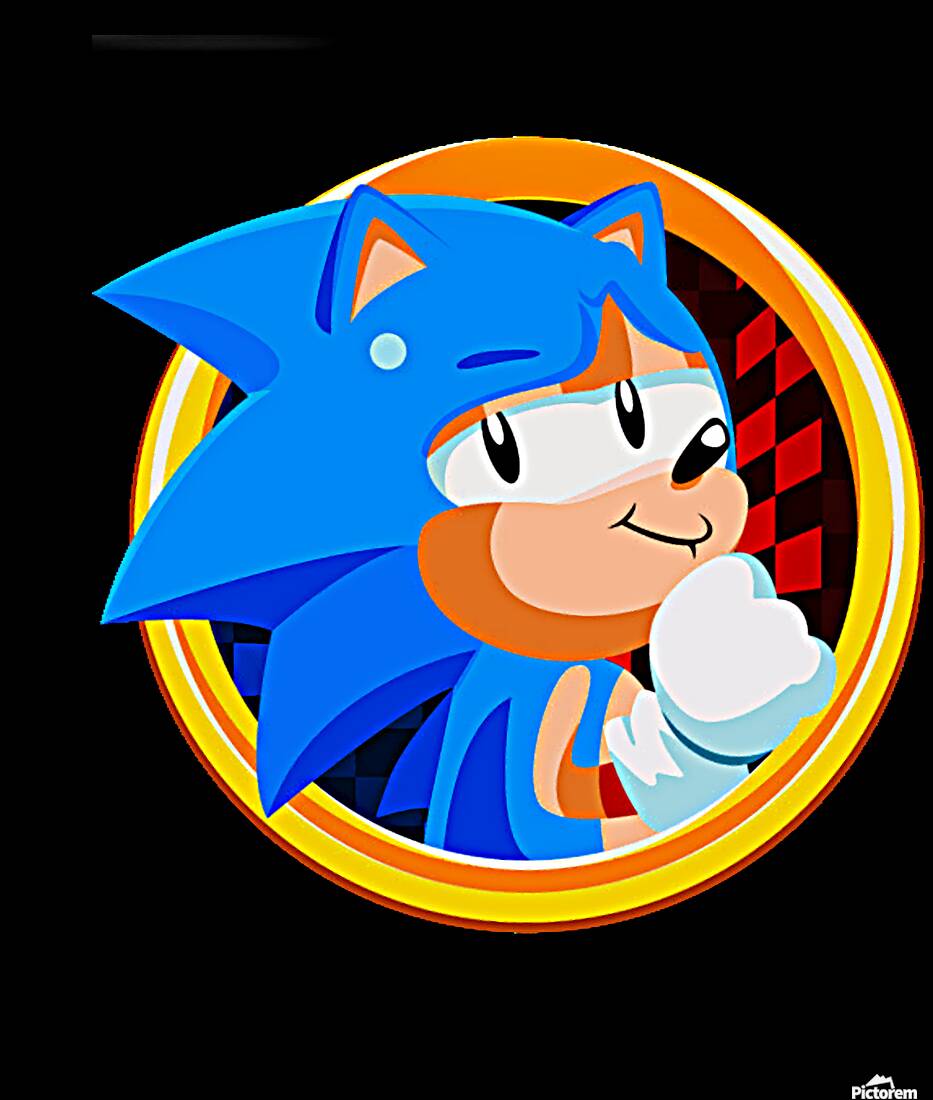 Sonic 41 Reproduction