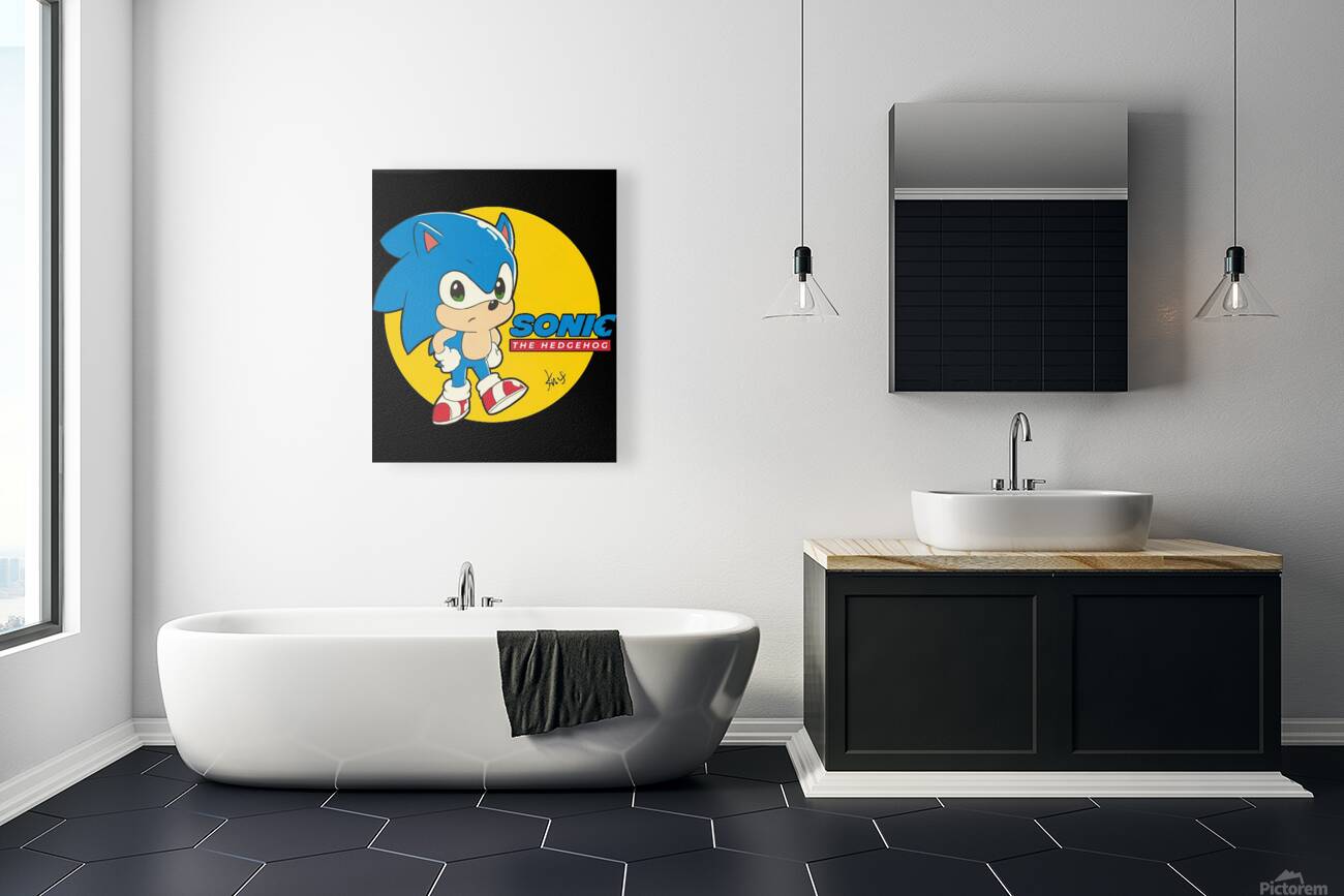 Sonic 43 Reproduction