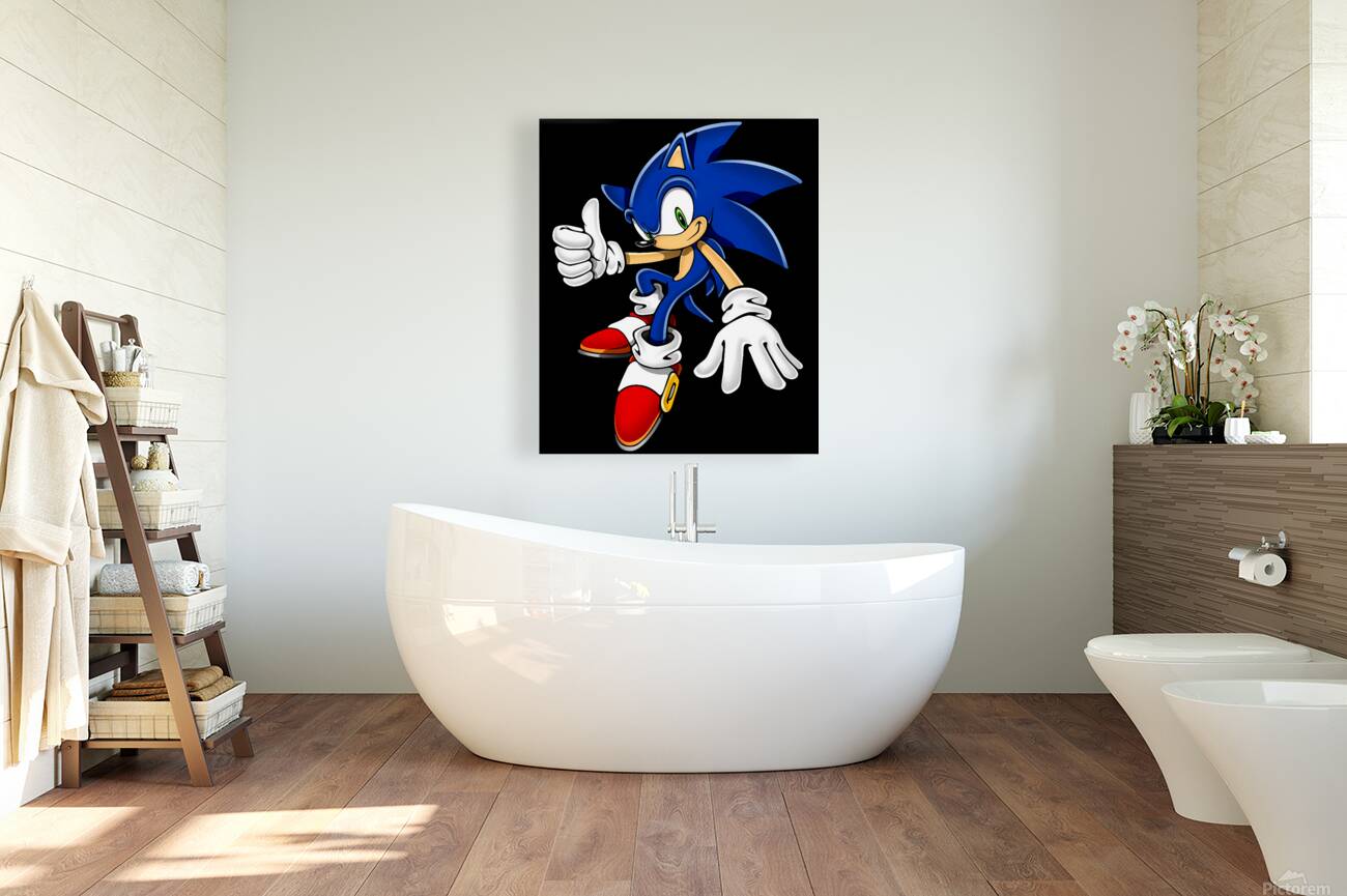 Sonic 54 Reproduction