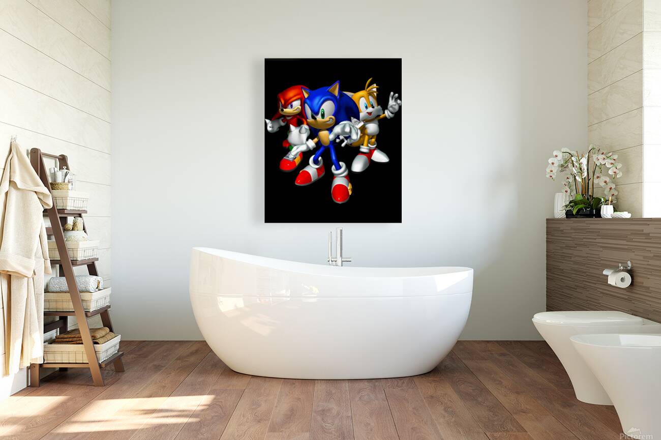 Sonic 55 Reproduction