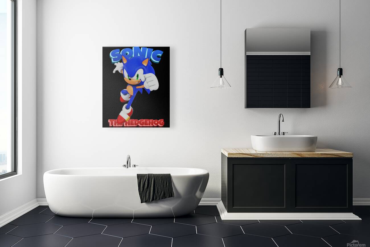 Sonic 56 Reproduction