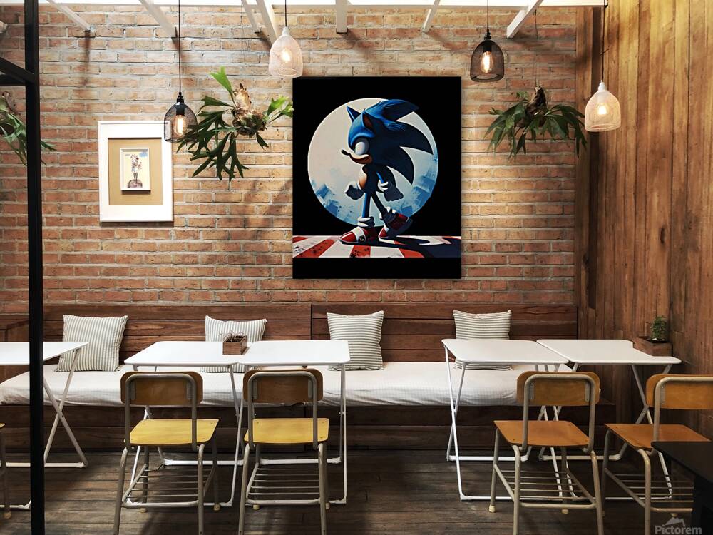 Sonic 14 Reproduction