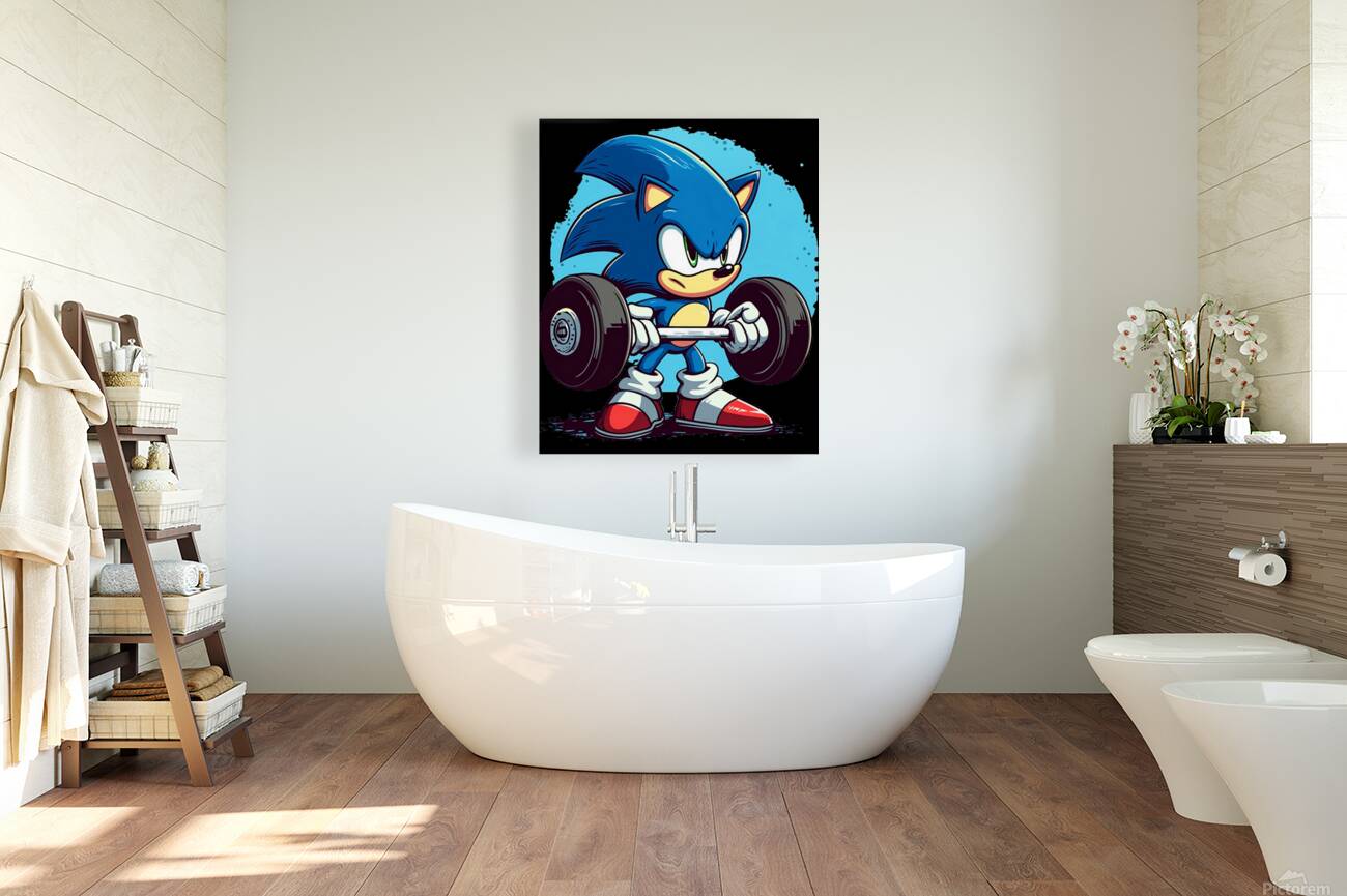 Sonic 19 Reproduction
