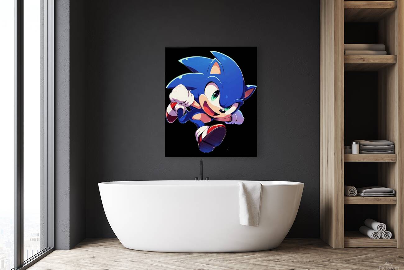 Sonic 27 Reproduction