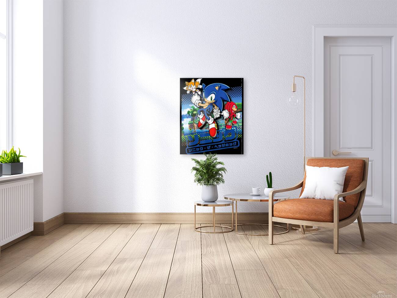Sonic 36 Reproduction