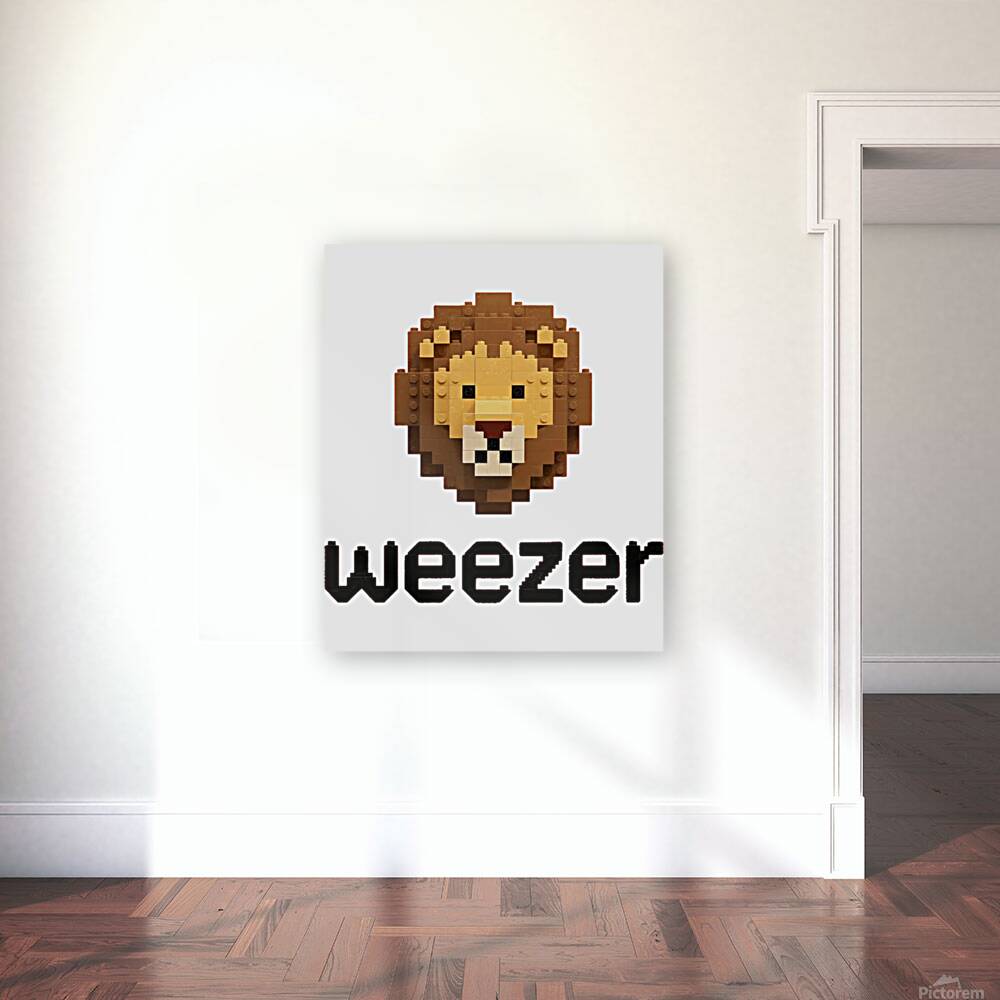 Weezer 30 Reproduction