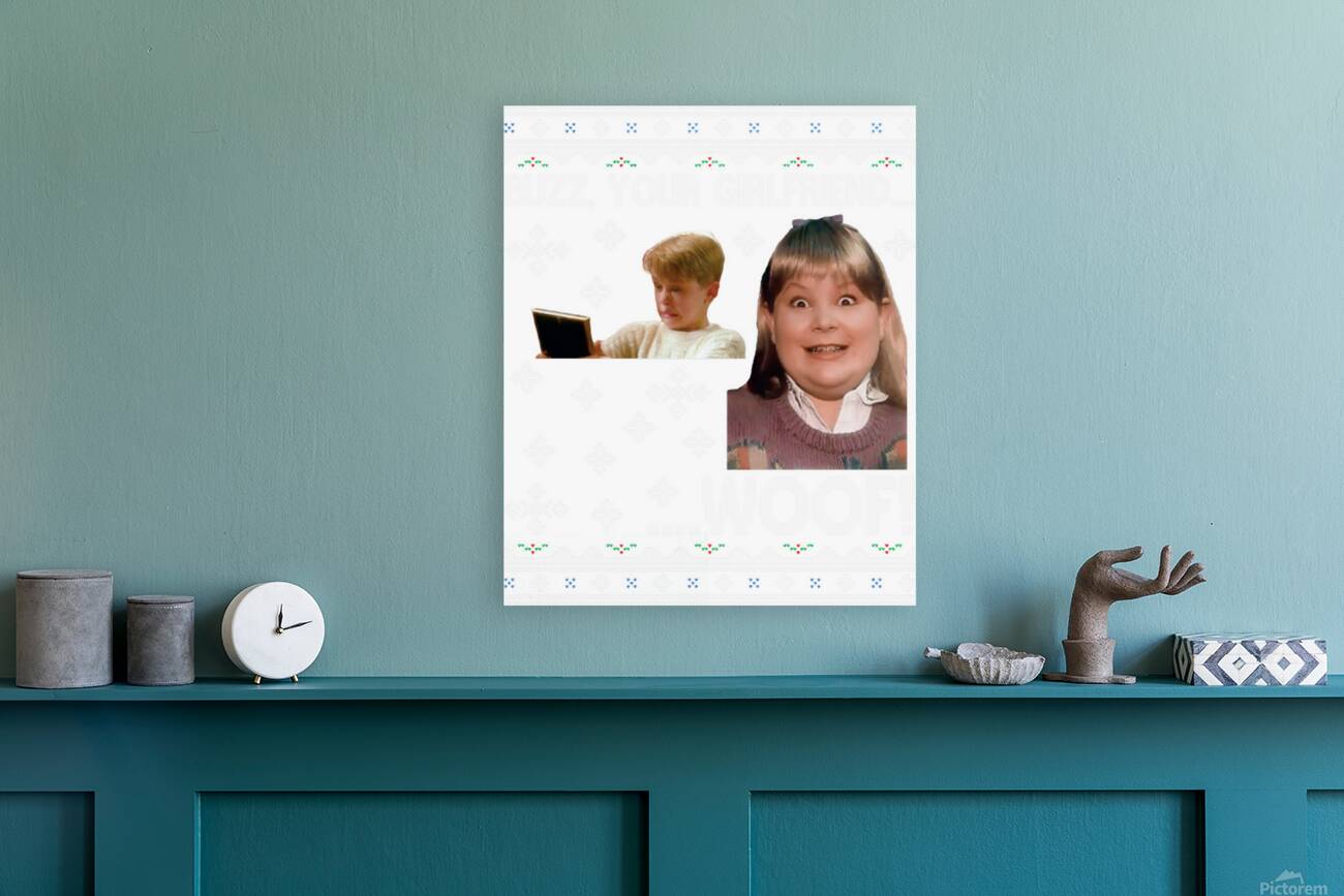 Home Alone 1 Reproduction
