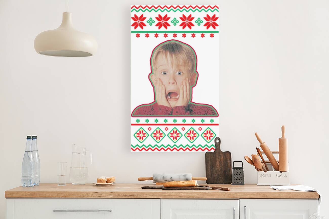 Home Alone 7 Reproduction