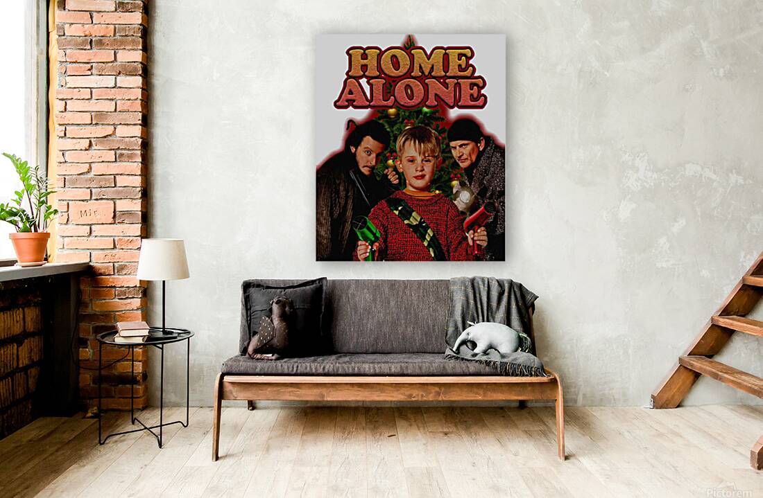 Home Alone 38 Reproduction