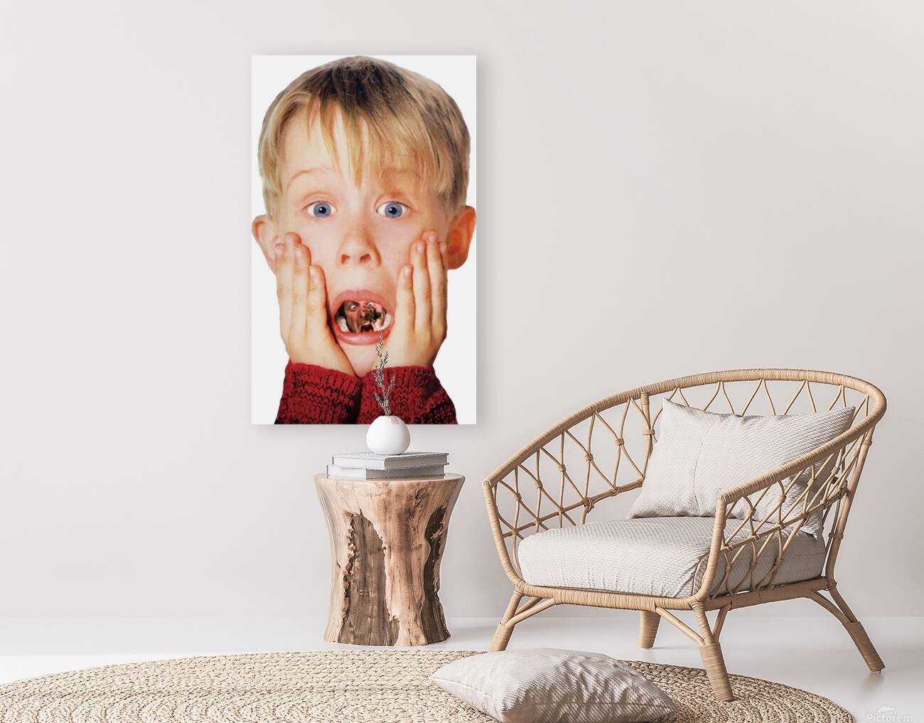 Home Alone 43 Reproduction