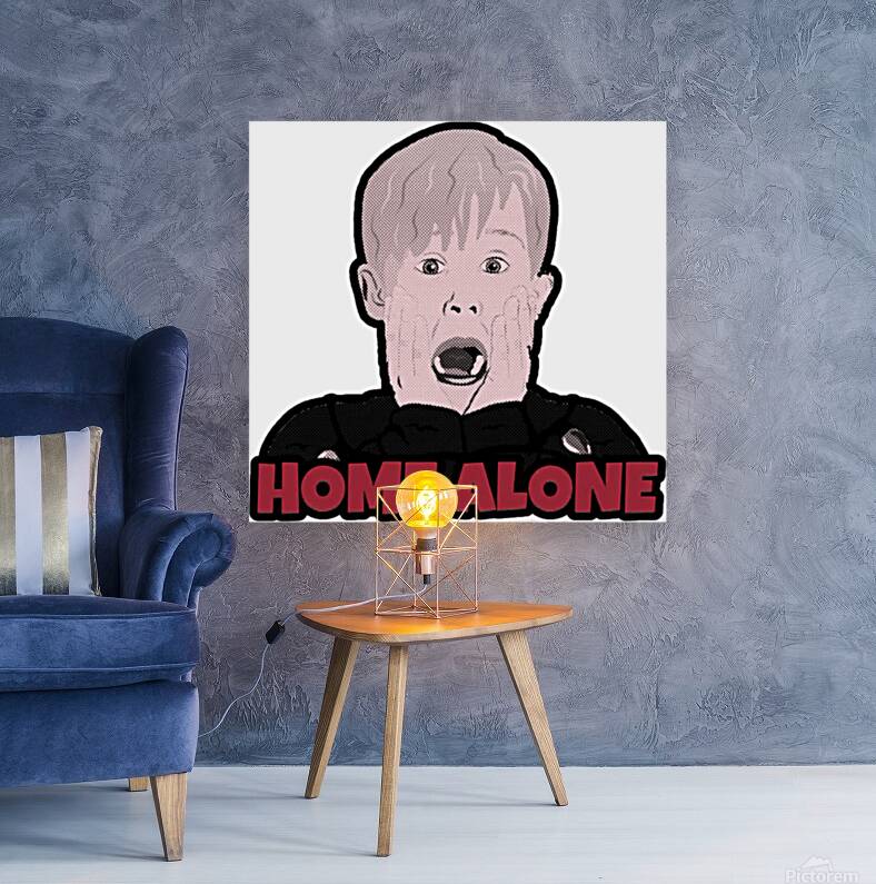 Home Alone 49 Reproduction