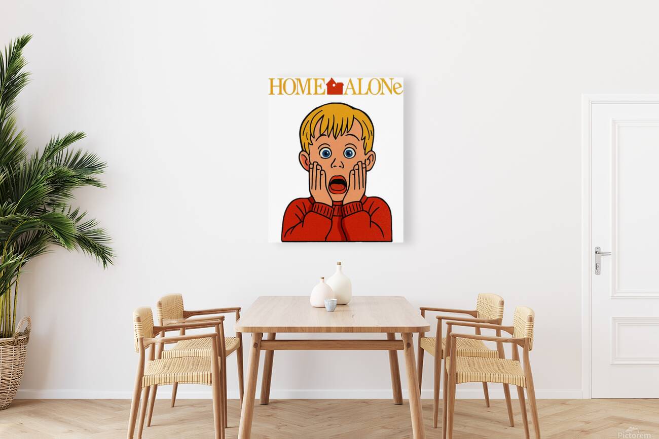 Home Alone 56 Reproduction