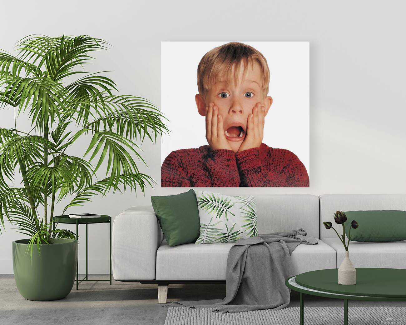 Home Alone 61 Reproduction