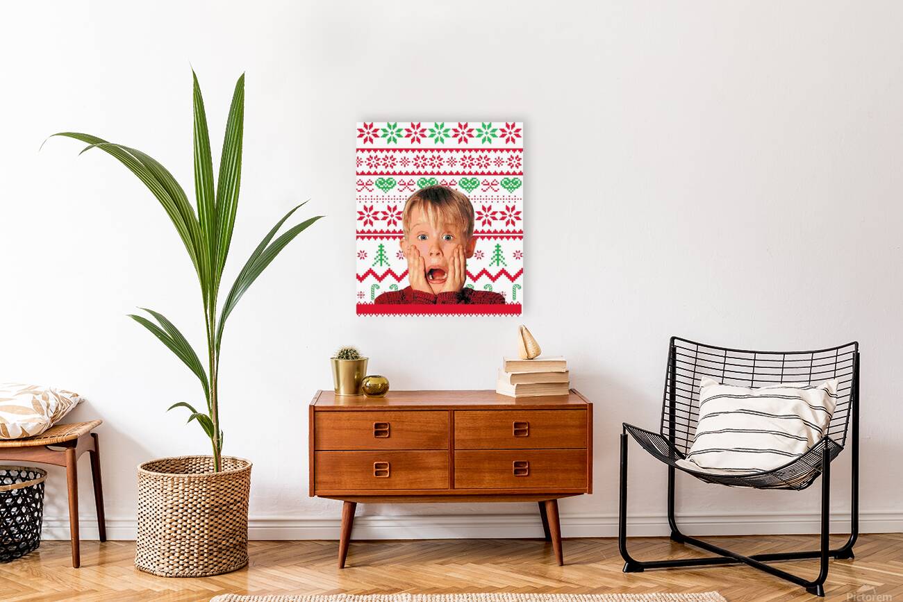 Home Alone 32 Reproduction