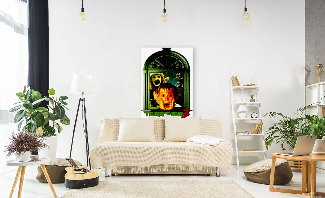 Home Alone 64 Reproduction