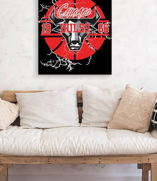 chicago bulls Reproduction
