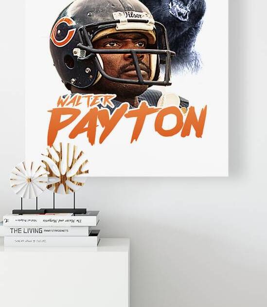 Chicago Bears 13 by KhoaNguyen