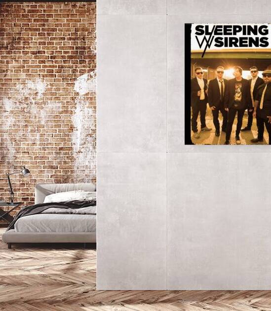 sleeping with sirens 17 Reproduction