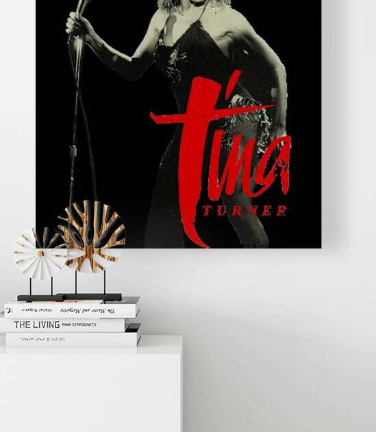 Tina Turner 28 by KhoaNguyen