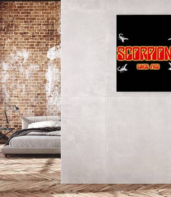 Scorpions 10 Reproduction