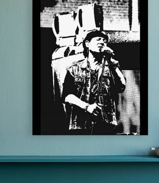 Scorpions 13 Reproduction