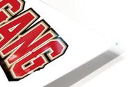 49ers HD Metal print