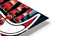 Michael Jordan HD Metal print