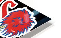 Buffalo Bills 36 HD Metal print