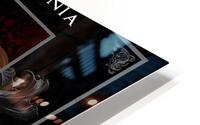 Castlevania 14 HD Metal print