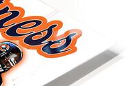 Chicago Bears 17 HD Metal print