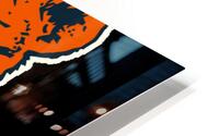 Chicago Bears 30 HD Metal print