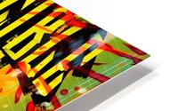 Invincible 22 HD Metal print
