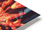 Invincible 51 HD Metal print