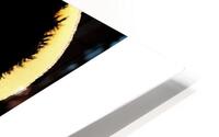 Jimi Hendrix 29 HD Metal print