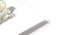 Led Zeppelin 10 HD Metal print