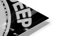 mobb deep 11 HD Metal print