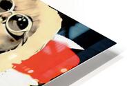 Blondie 17 HD Metal print